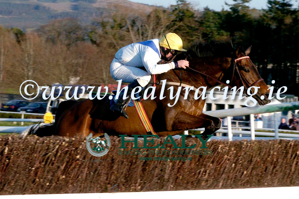 HEALY RACING tweet media