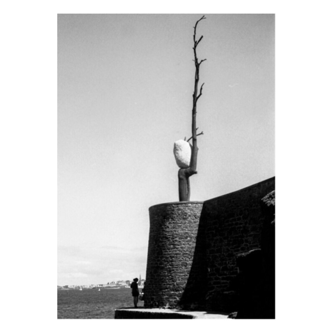 Passante.

#analogphotography #filmphotography #filmisnotdead #filmcommunity #120film #120love #ishootfilm #rolleiflex #fomapan400 #fomapanfilm #dinard #art #sea #mer #bw #bwlovers #renanperon #summer #photography #photooftheday