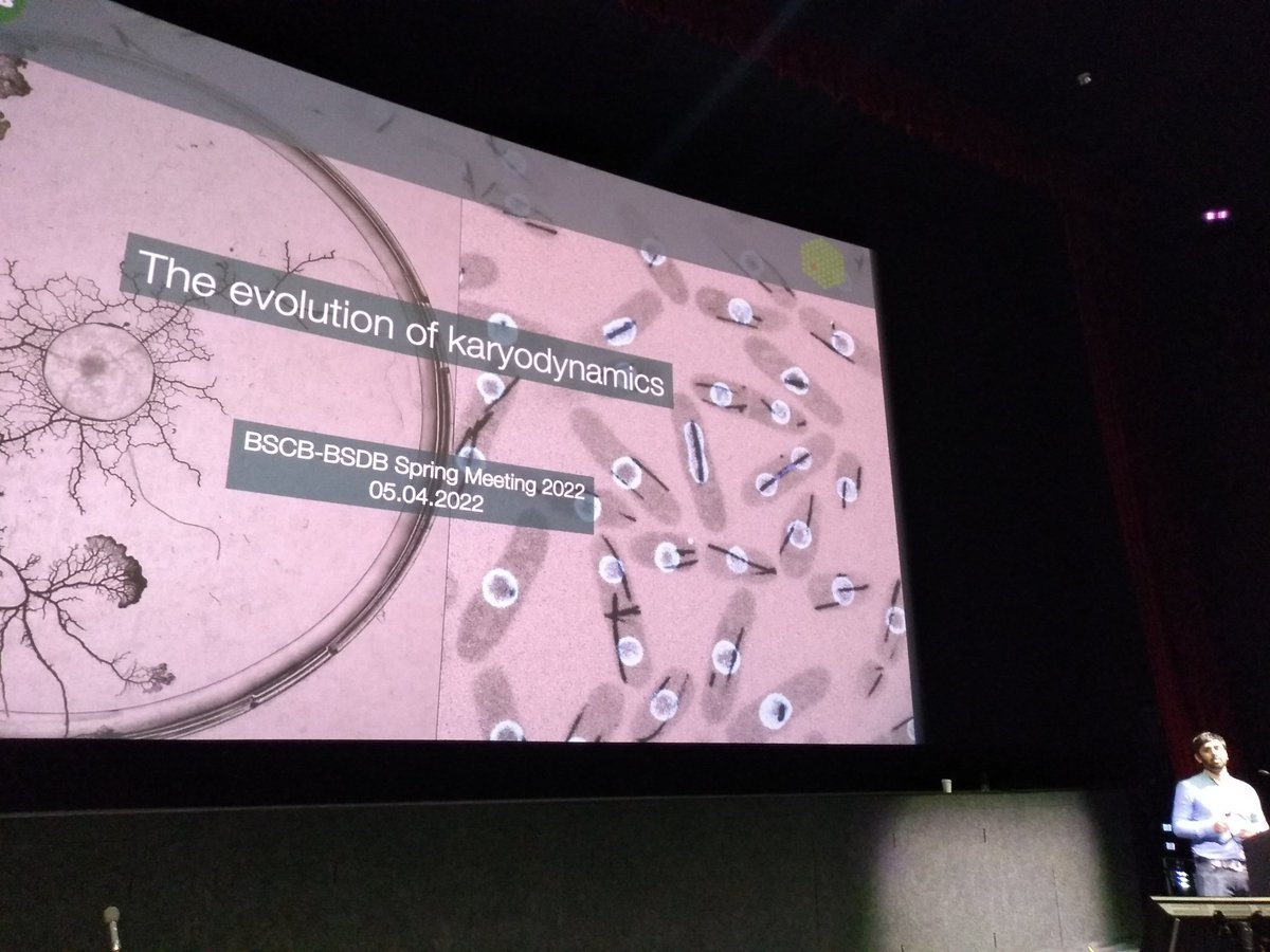 AnneStraube's tweet photo. @Dey_Gautam took us on a tour of cell division in weird and wonderful new organisms and some engineered classic models - very fitting for a viewing on the cinema screen. https://t.co/lPsq7aEowh