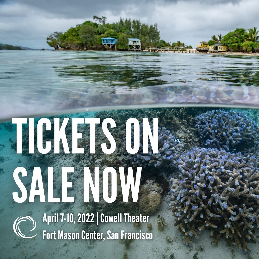 DarkHobby's tweet photo. Tickets for the International Ocean Film Festival @oceanfilmfest available: https://t.co/ArektkpDpm
Watch 'The Dark Hobby', and meet the filmmakers, April 8th, Cowell Theater, San Francisco.
#IOFF2022 #TheDarkHobby #IndieFilm #DocumentaryFilm #WildlifeDocumentary #ReefWildlife https://t.co/2vEGV7HdX4