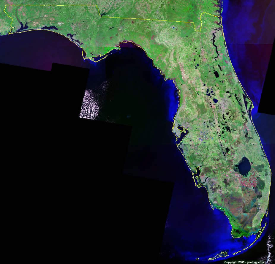 DagonKnights's tweet photo. Het Run DeathSentence, point out on this map where mexico connects to Florida? Since it doesn't @RonDeSantisFL how about you shut up about the border mind your damn business and concentrate on covid deaths. https://t.co/GUP5mK05R8