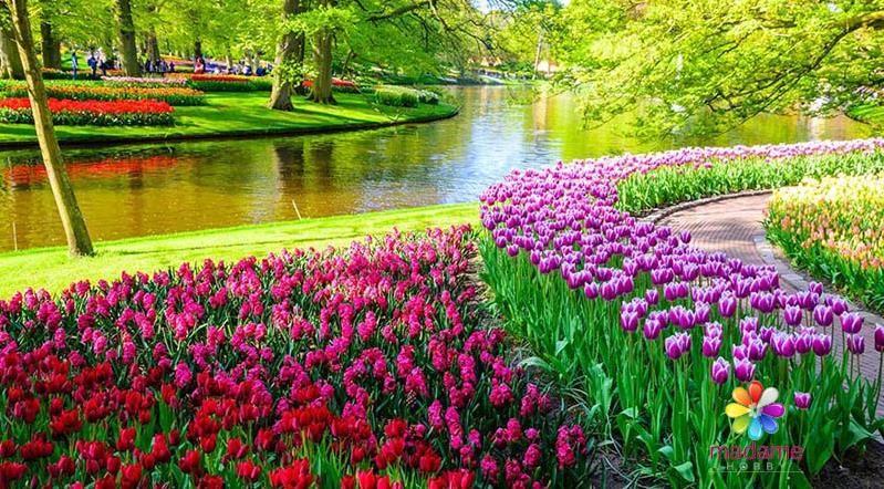 normalde yokluk adası       gokhan gittikten sonra yokluk adası