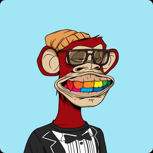 The Crypto Dog 📈 tweet media