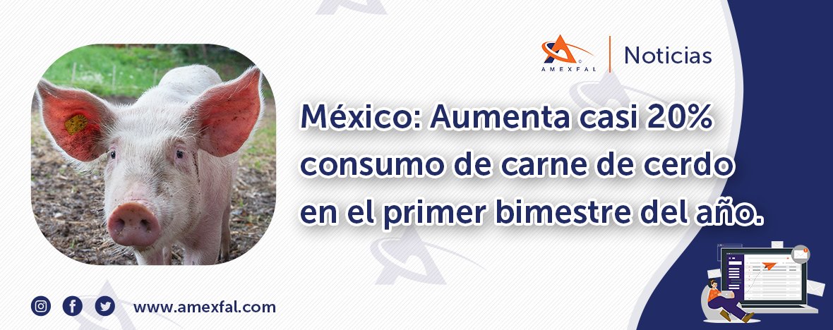 De acuerdo con información de la <a href="/Opormex_org/">OPORMEX</a> , tan sólo en enero de 2022 se consumieron en el país 231 mil 817 toneladas de #carne de #cerdo

📌 Noticias 5 de abril: bit.ly/3LGAuuW