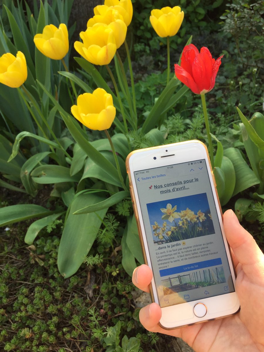MyLivingBloom's tweet photo. [📩] La #newsletter d'avril est arrivée ! Au menu : de l'inspiration pour réaliser votre terrasse ✨, des conseils pour prendre soin de votre potager 🥕, et un zoom sur notre nouveau revêtement écoresponsable 🌏 !
 
👉 Abonnez-vous sur https://t.co/z6sdxW918B https://t.co/pTdDCQl1Bf