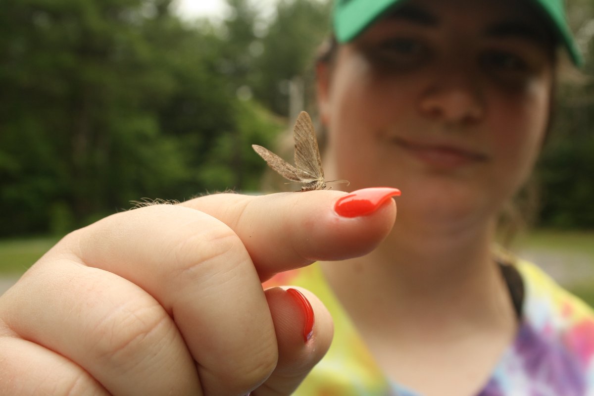 Syracuse University Biology Department tweet media