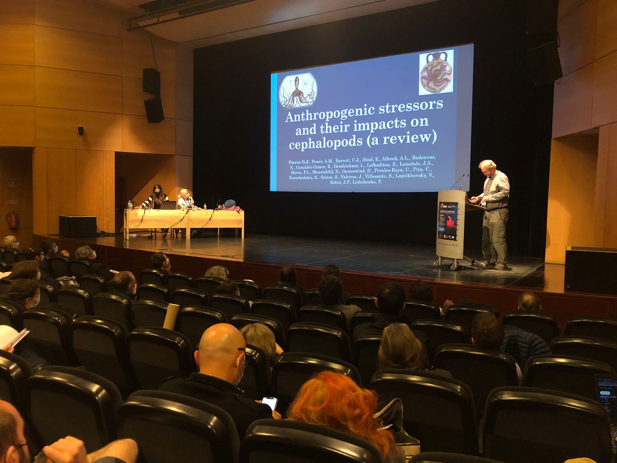 ciac2022's tweet photo. The last speakers of the day had incredible stories to tell, thank you Antoine Minet, Graham Pierce and Chingis Nigmatullin! It's a wrap for today's presentations! Let's go over to the poster session!
 @cephCIAC #ciac2022 #cephalopods https://t.co/RpuFp91HSG