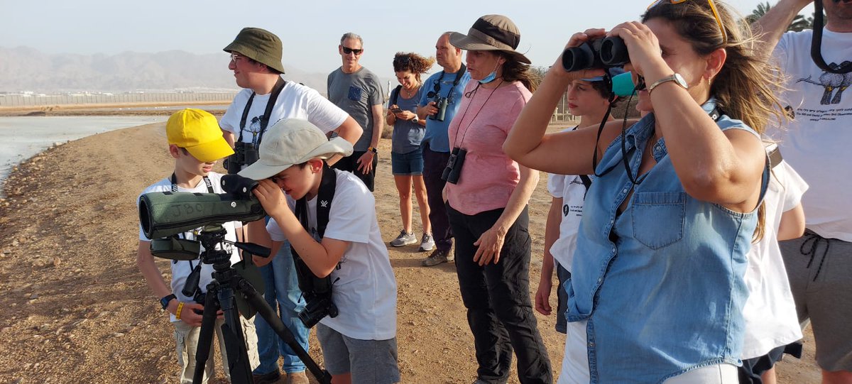 BirdLifeIsrael's tweet photo. The tension mounts.... teams converge on #Eilat North Beach for the last few species before the sun goes down on #COTF22 Race Day! The kids know what's happening ;-)
100% of all donations help save Turtle Doves: https://t.co/CsbhXOVA7g
@ZEISSBirding #YearOfTheDove https://t.co/PJTP91QRkz