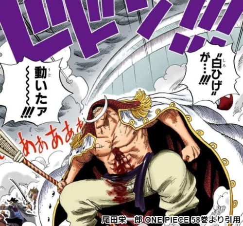 ワンピース 白ひげは名言も世界最強 家族を愛した男 白ひげの名言９選 漫画情報 Info