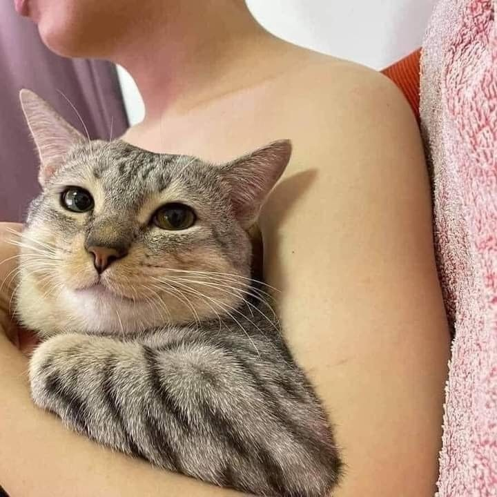 hehehehehehe eu to no colo dele e você não