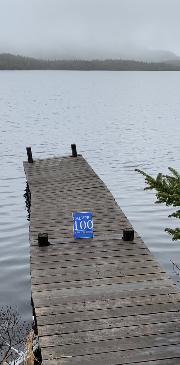 Calvert100 🇺🇦 tweet media
