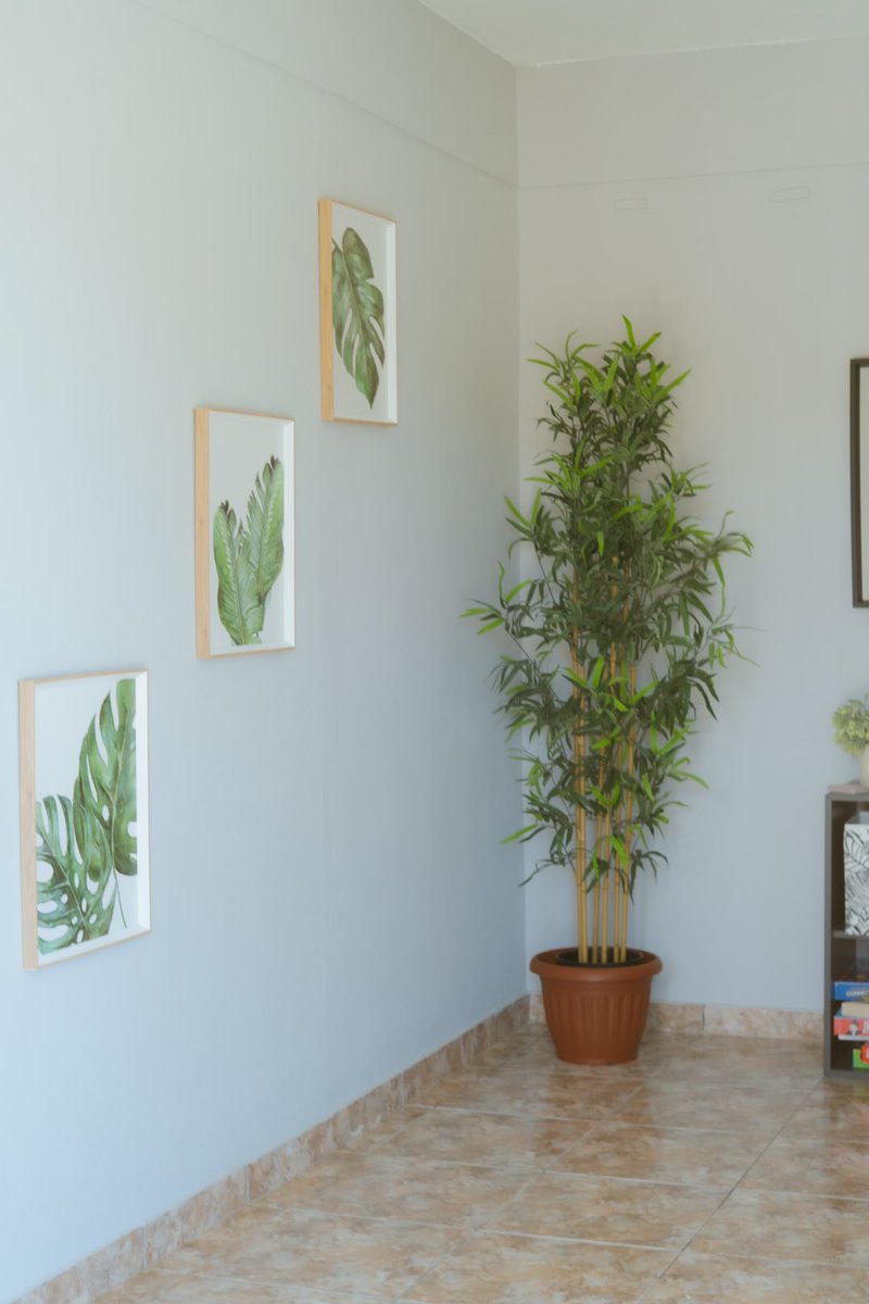 yayan_2001's tweet image. ¡Tenemos nuevos cojines y nuevas cortinas en la casa!👀 

Abajo dejo el link que te lleva a la plataforma de Airbnb, más fotos y videos sobre la casa y nuestras redes sociales. 👇🏼👇🏼👇🏼

linktr.ee/brosrental