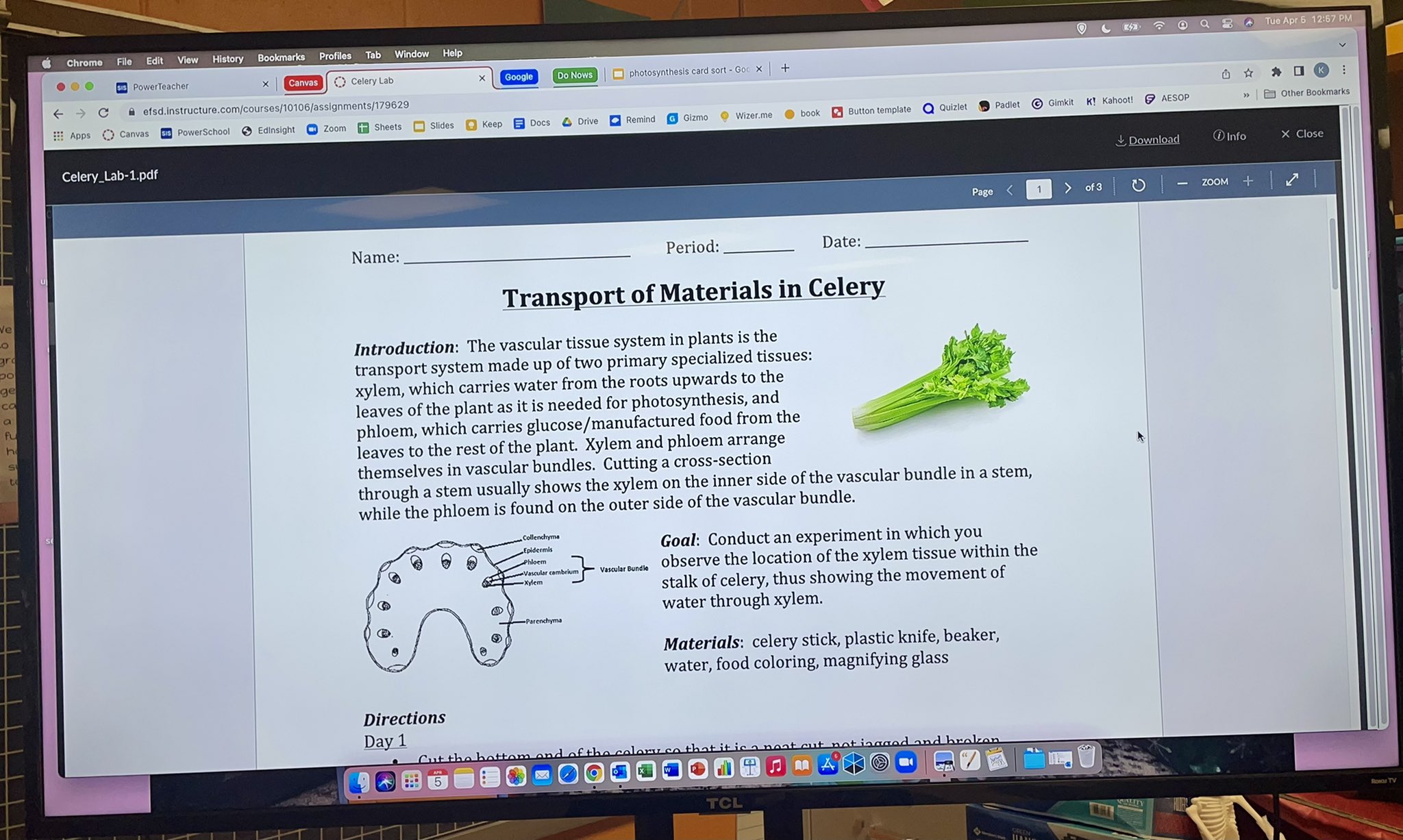 Elizabeth Forward Middle School on Twitter "PreBiology Class was