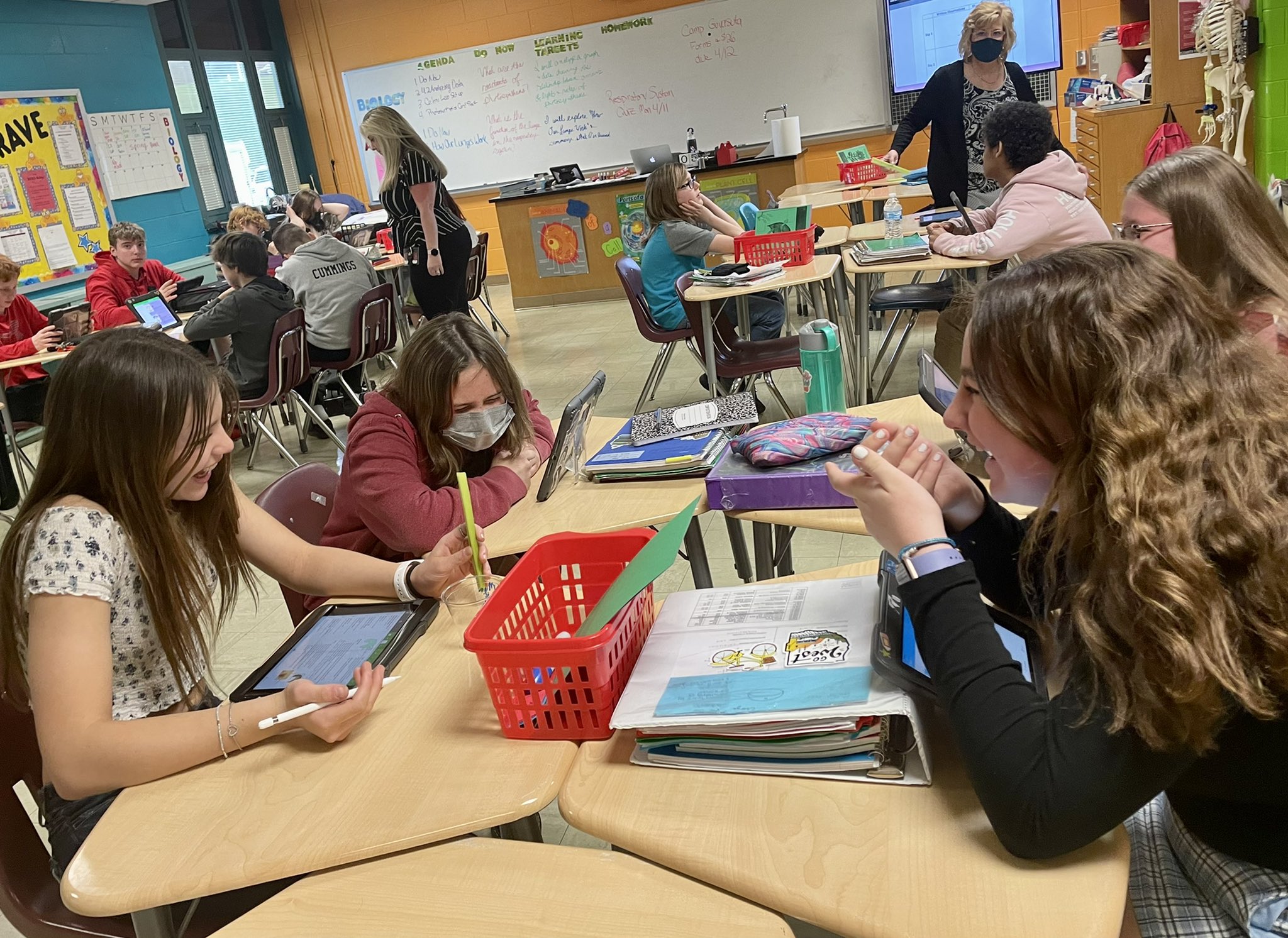 Elizabeth Forward Middle School on Twitter "PreBiology Class was