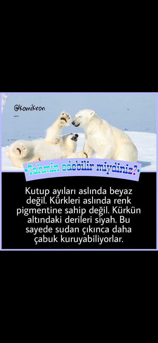 Biliyor muydunuz? #hergüneyenibirbilgi