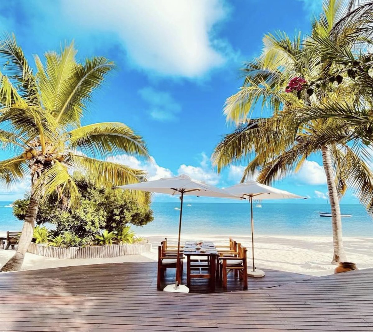 Lunch on the deck overlooking the beautiful beach at Azura Benguerra Island ☀️ 
If you're lucky you may even see humpback dolphins cruising by as you dine 🐬 
.
.
.
#azuraretreats #azurabenguerra #azuramarlinbeach #mozambique #africa #wheretonext #virtuosotravel #travelafrica