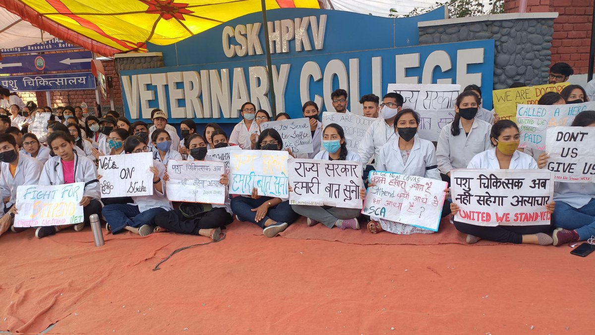 Drgcncovas's tweet photo. Strike #day12
#HP_Vet_Stipend
#Increase_Vet_Stipend
पशु चिकित्सक अब नहीं सहेगा अत्याचार
 We want justice
@cmohimachal
@vskanwar04 
@mahenderstbjp 
@dhruv_rathee 
@TheDeshBhakt https://t.co/qB1vZWdNI3