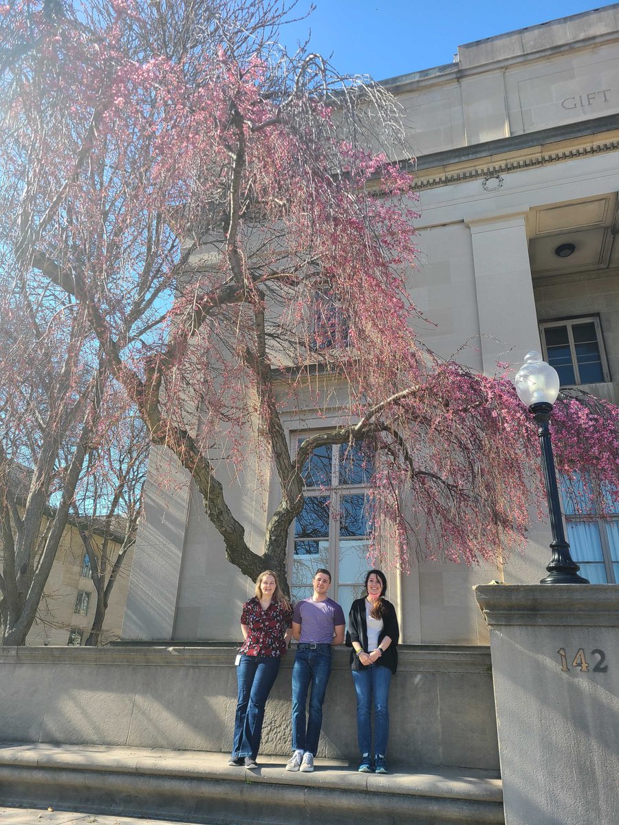 Finally the weather is looking nice in Boston <a href="/freedman_lab/">FreedmanLab</a>