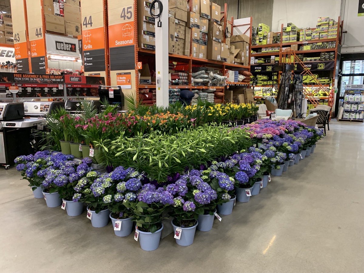 Linda Burkins (@ppslinda) on Twitter photo HD3625 Asheville #easterset <a href="/BobbyBoaenTHD/">Bobby Boaen</a> <a href="/PPScatwilson/">Catherine</a> <a href="/pps_s_atlantic/">AC</a> @PPSinHD <a href="/Stephen_E_Camp/">Stephen Camp</a> <a href="/spoonholtz/">Teresa Spoonholtz</a> HD3625 Asheville #easterset <a href="/BobbyBoaenTHD/">Bobby Boaen</a> <a href="/PPScatwilson/">Catherine</a> <a href="/pps_s_atlantic/">AC</a> @PPSinHD <a href="/Stephen_E_Camp/">Stephen Camp</a> <a href="/spoonholtz/">Teresa Spoonholtz</a>