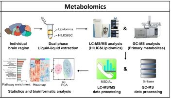 WCMC_UCDavis's tweet photo. We are proud of our Nature Communications paper "A #metabolome atlas of the aging mouse #brain made in the Top 25 Health Sciences Articles 2021. We hope this atlas will help and inspire more discoveries.    https://t.co/3hPpGxVNHJ 
@UCDMouseBio @kcklloyd @NatureComms https://t.co/u0YbtQcU87