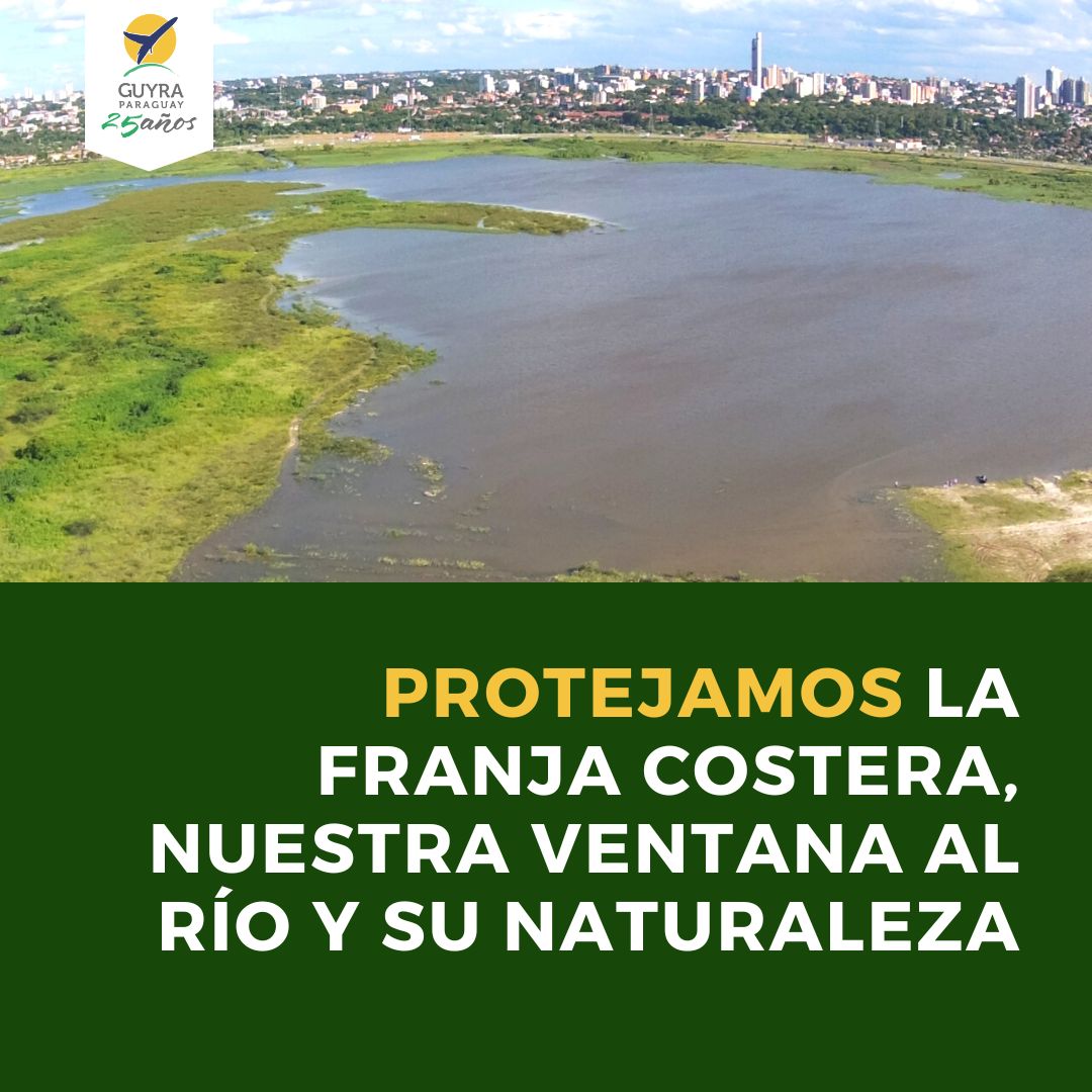 guyraparaguay's tweet image. 🌅⚠️𝐏𝐑𝐎𝐓𝐄𝐉𝐀𝐌𝐎𝐒 𝐋𝐀 𝐅𝐑𝐀𝐍𝐉𝐀 𝐂𝐎𝐒𝐓𝐄𝐑𝐀, 𝐍𝐔𝐄𝐒𝐓𝐑𝐀 𝐕𝐄𝐍𝐓𝐀𝐍𝐀 𝐀𝐋 𝐑Í𝐎 𝐘 𝐒𝐔 𝐍𝐀𝐓𝐔𝐑𝐀𝐋𝐄𝐙𝐀

Lee el comunicado completo AQUÍ:⬇️

guyra.org.py/protejamos-la-…