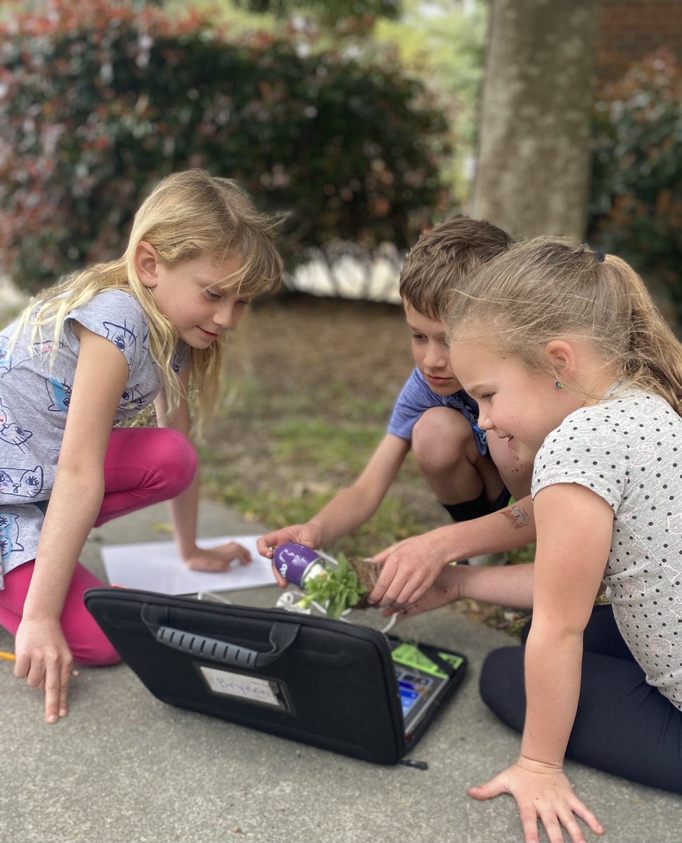 anne_horsley's tweet photo. Beautiful afternoon with Budding Scientists. No pun intended. Who am I kidding? It’s FULLY intended. 💐 @KristinaDemoss @DardenWhitney https://t.co/W7codkU03h