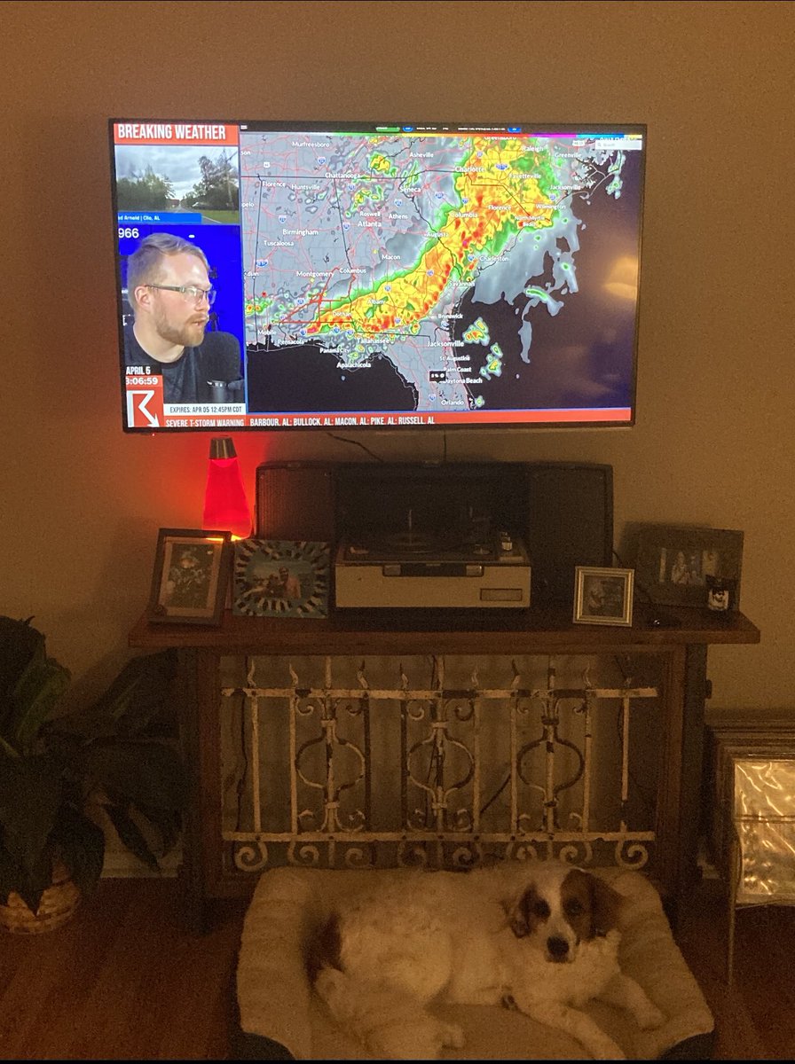 carolveillonm's tweet photo. @ryanhallyall good boys ready to shelter in place if needed 😇 https://t.co/nwxXZLoAEY