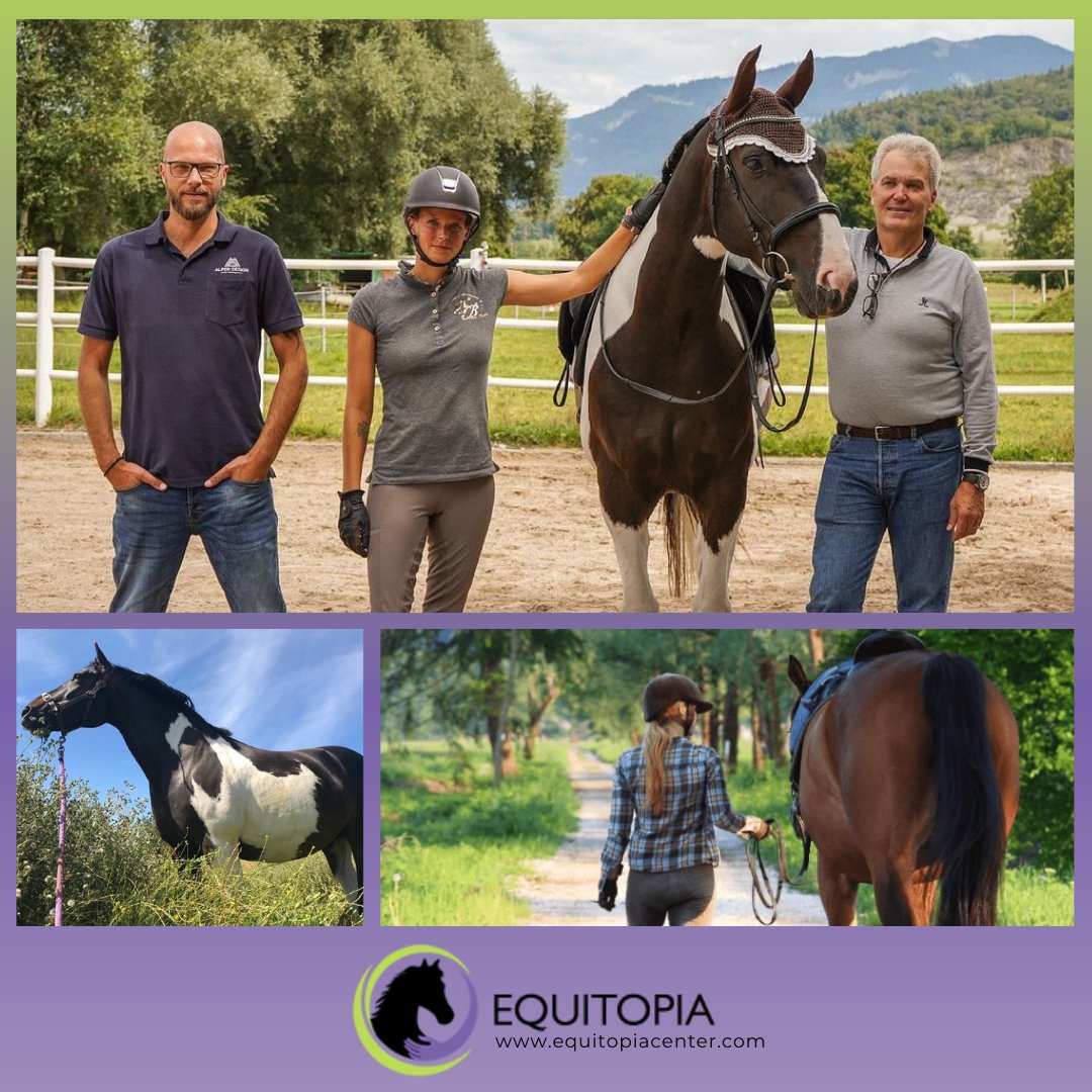 Equitopiacenter's tweet photo. Do you find it hard to stay on top of new developments in the horse world? 🤔 

Equitopia is the perfect resource for you.  We have evidence-based information that will be good for both the horse and the rider. 🏇

https://t.co/6UuTaTHnlL
#equitopia #horse #equitopiacenter https://t.co/ZUjTBwHTWj