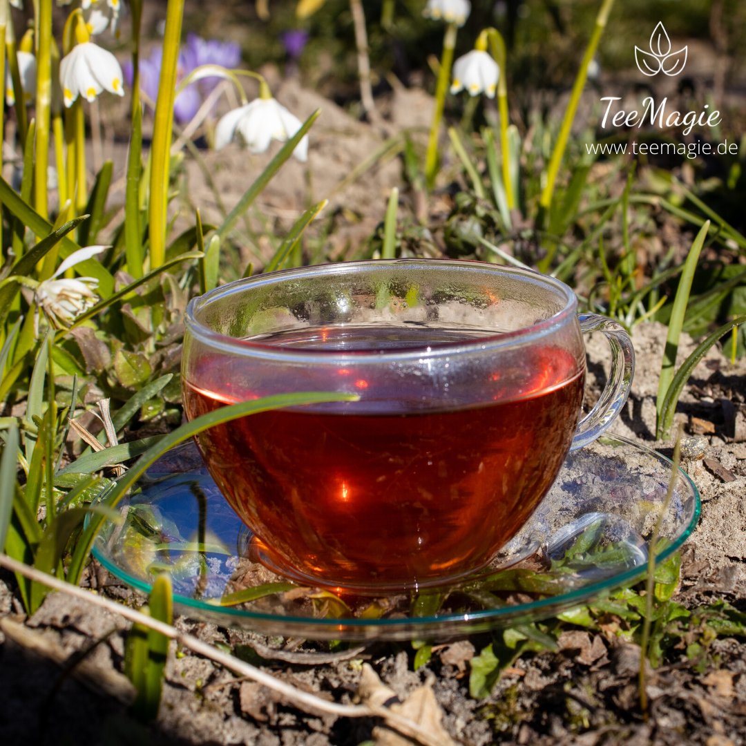 MagieTee's tweet photo. Stress gehabt? 🥴
Versuch es doch mal mit einer Kanne Tee. Du wirst schnell merken wie sehr der Tee dich entschleunigt. 🍵❤️
#tee #teeliebhaber #teeliebe #Gesund #Gesundheit #biotee #bio #nachhaltig #fitfamgermany #frühling #Rostock #küstenkind #meckpom #kräuter #zeitfürdich https://t.co/cp8cvd44U8