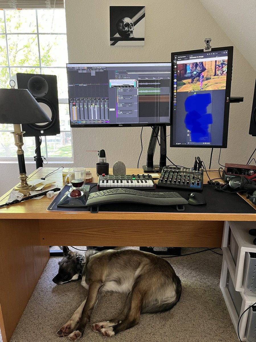AffordableNatr's tweet photo. Nice to be back at it with @SchoolGameAudio learning and getting the unity knowledge.
Also, got the best coworker 😁#dogsofgameaudio #gameaudio https://t.co/dqEC90k3Ni