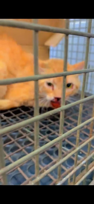 ➕ J E S S ➕ tweet media