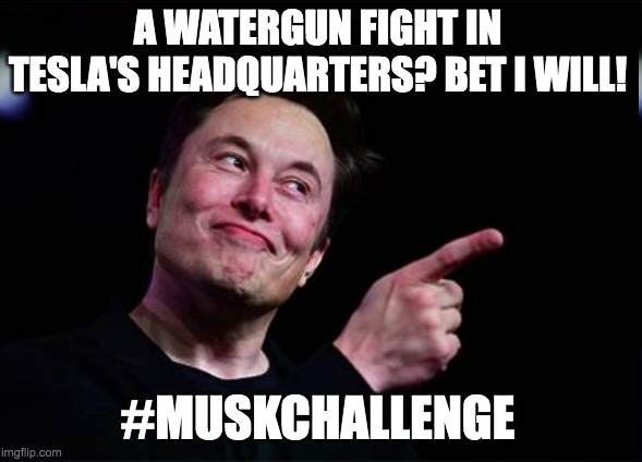 _Squirrel_Token's tweet image. .@elonmusk ?



#MuskChallenge