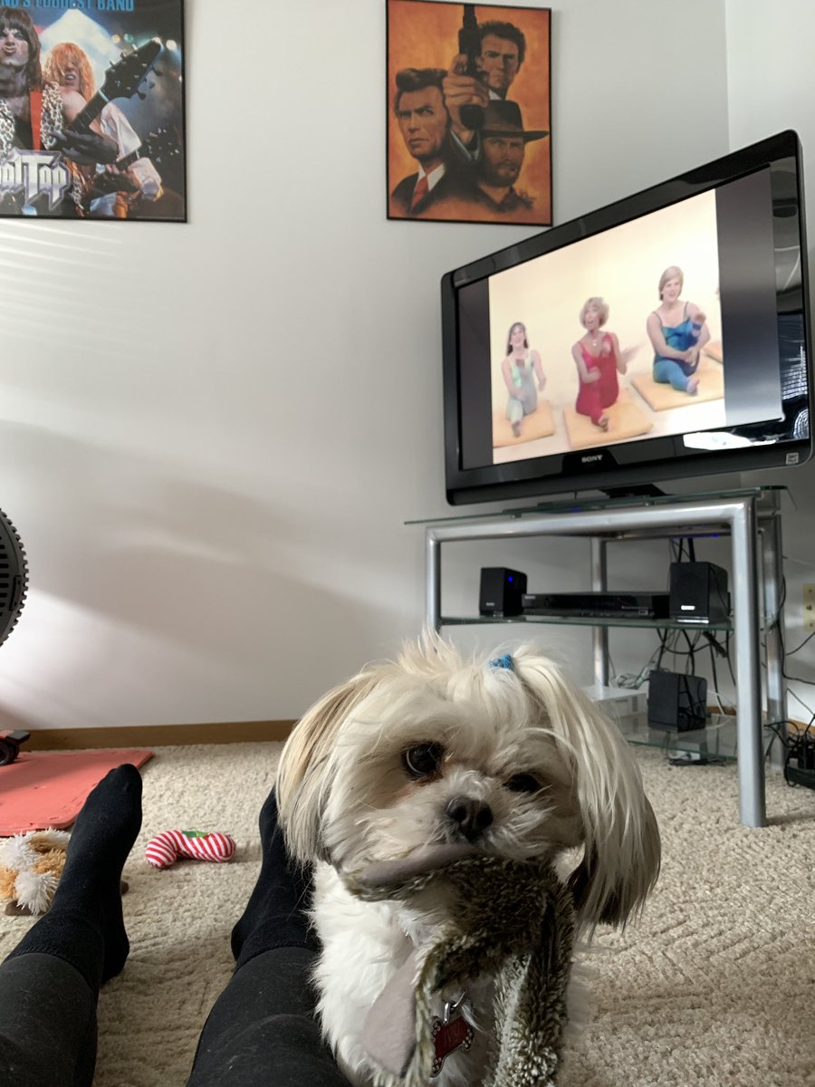 regina_grandma's tweet photo. Multitasking trying an old Jazzercize workout and playing with the dog at the same time. Everything’s a game to her. #DogsJustWannaHaveFun #jazzercize #WorkoutDistraction https://t.co/RXRjIpGcqf