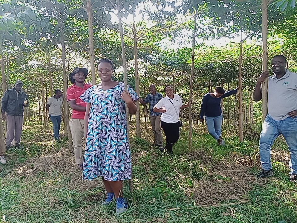 fmnrnetwork's tweet photo. Today the FMNR network steering committee had a learning visit to our partners Mpigi District Farmers association. This is Nawandigi forest reserve being restored by  Umoja Veterans Sacco..... Follow us on https://t.co/9bNCmO3lW1. https://t.co/6LnFX8G6zi