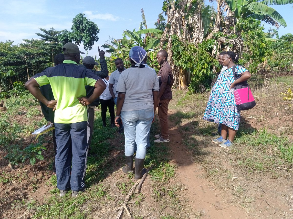Today the FMNR network steering committee had a learning visit to our partners Mpigi District Farmers association. This is Nawandigi forest reserve being restored by  Umoja Veterans Sacco..... Follow us on fmnrmetworkuganda.org.