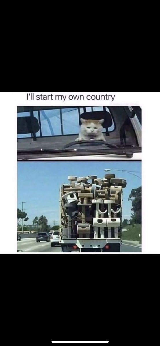 LauraPaige7's tweet photo. This is the funniest thing I’ve ever seen https://t.co/MzYdlHMQqK