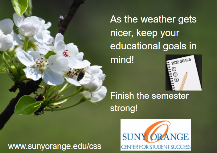 SUNY_OrangeCSS's tweet photo. TIP FOR SUCCESS: Stay committed to and prioritize your goals so you can celebrate your accomplishments!
#SOcommitted #SOsuccesful https://t.co/J7Xdgk3hPy