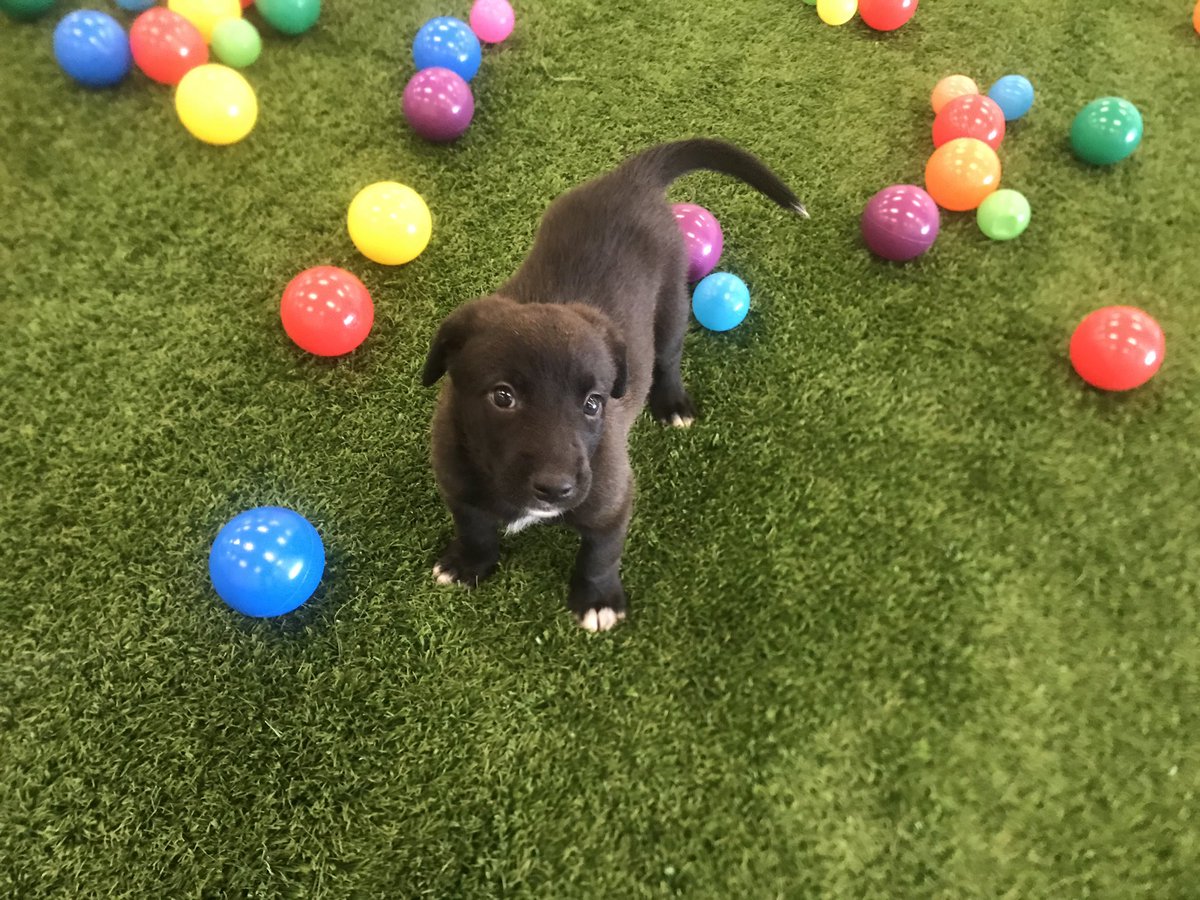 Here’s an <a href="/cronkitenews/">Cronkite News</a> sneak peek for tonight.