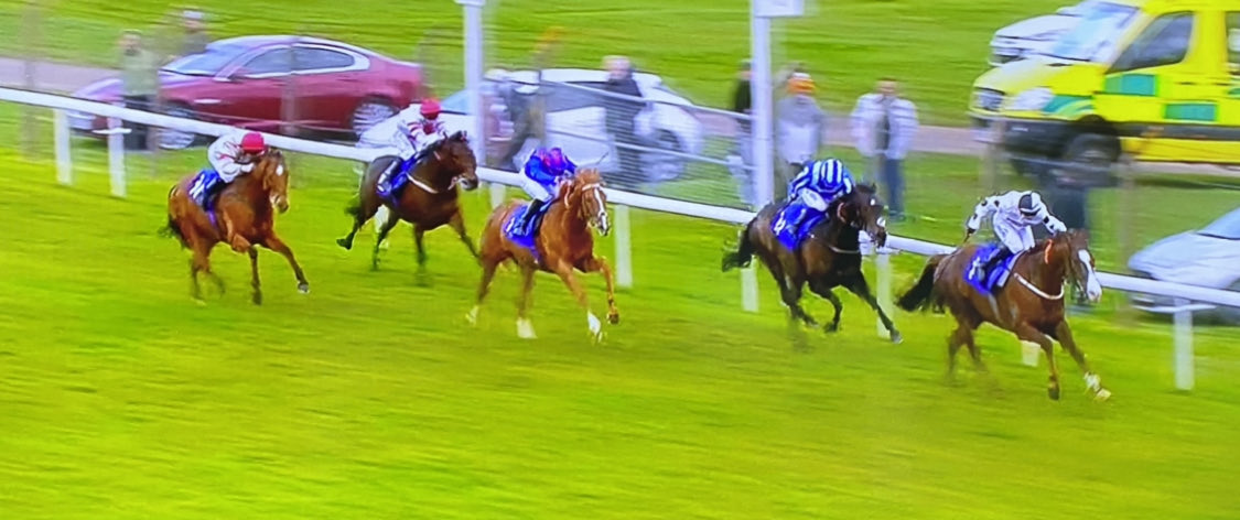 KillalaHouse Stables tweet media