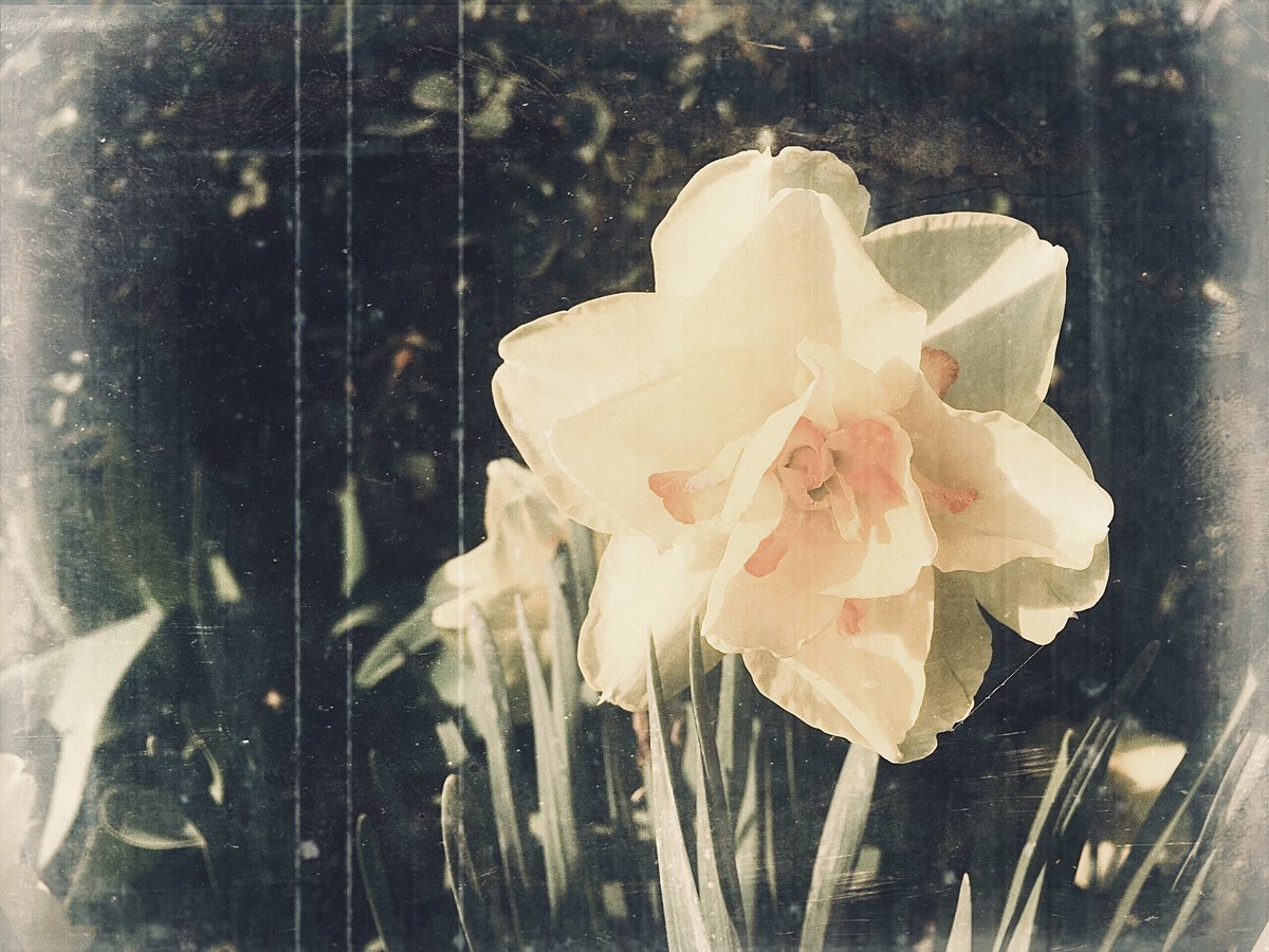 🚶🏻‍♂️Riccardo tweet media