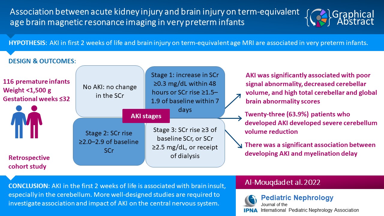 NINJA: A systematic approach to reduce exposure to nephrotoxins — NephJC