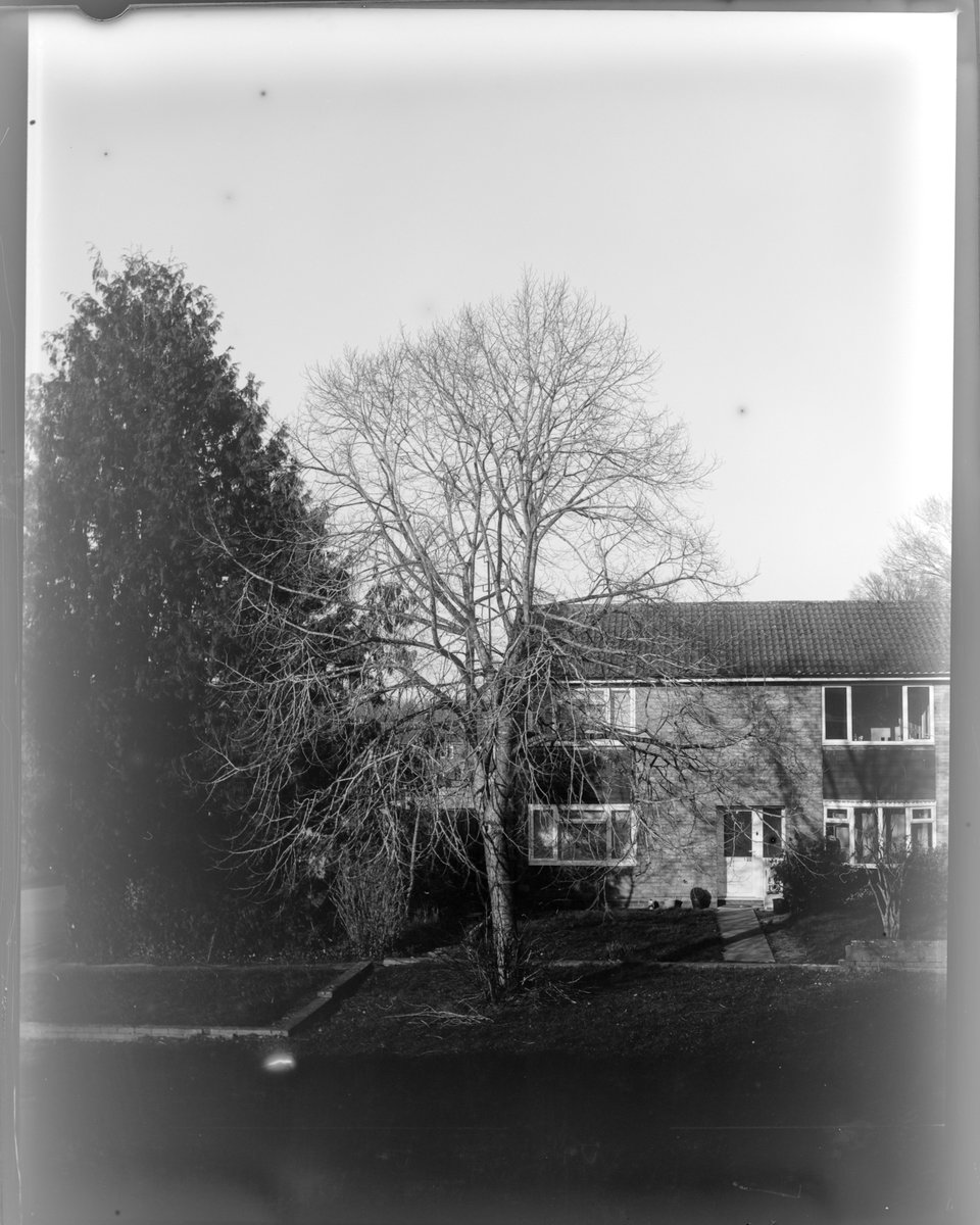 KrisAskey's tweet photo. My first few dry plates. Working with ISO 2 (or 25) is a challenge but has me motivated. I LOVE the imperfections/surprises in these alternative photographic processes. Now to tweak my workflow w/some more plates. 📸🎞️
#photography #believeinfilm #dryplate #largeformat #4x5 https://t.co/oAMUl9awTm