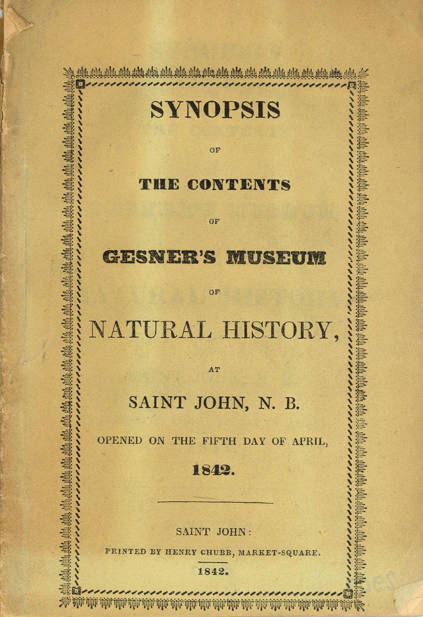 Stonehammer Geopark tweet media