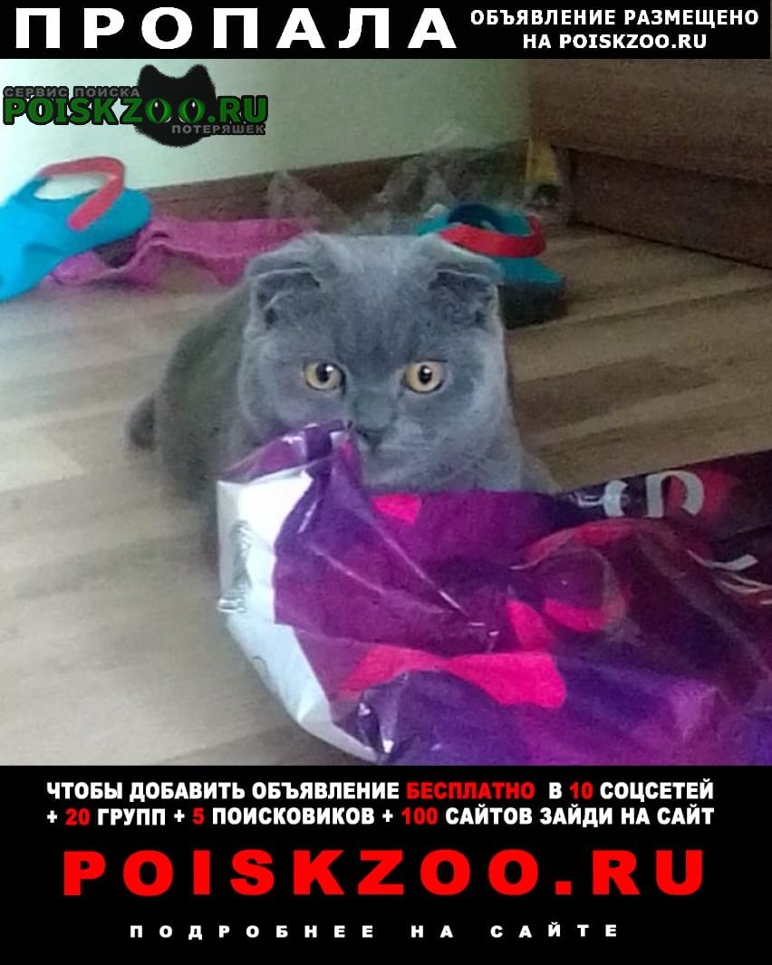 Пропала кошка кошечка вислоухая (шотландская) 5 мес. Санкт-Петербург

Подробнее по ссылке: poiskzoo.ru/147625  .. марта .. года пропала кошка серая шотландская вислоухая, возраст .. месяцев. проживала по адресу Санкт-Петербург, ул. Даниила Хармса, д. ... вышла незамеченной и