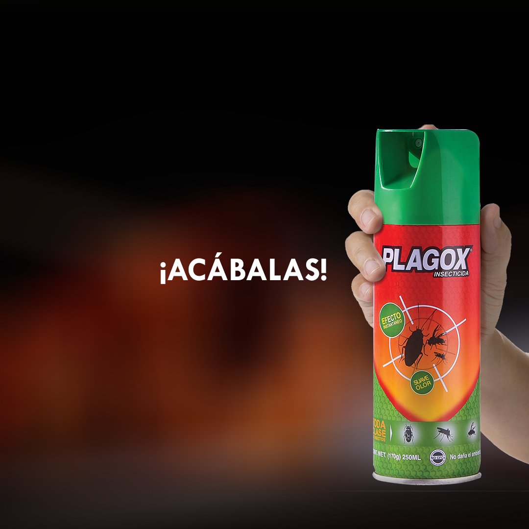 plagoxrd's tweet photo. ¿Sabías qué las cucarachas son capaces de soportar una dosis de 10.000 rads de radiación? 10 veces superior a las de los seres humanos

¿Pero sabes a qué no son resistentes?
¡A Plagox!

 #Plagox #AcábalasConPlagox #AdiósALasPlagas https://t.co/MaGfCapW1M
