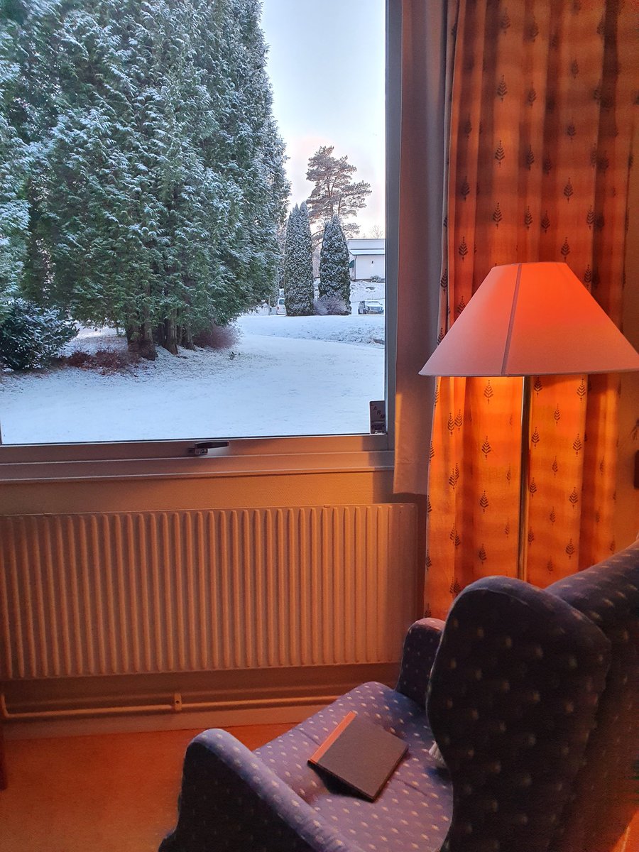 BollGreve's tweet photo. My little quiet reading spot before going to evening talks about "Genetics behind antibiotic resistance"
And yes, it is snow outside my window if you wondered 🙈
#AntibioticsAndAntibioticResistanceCourse #Sweden #Hjortviken https://t.co/bnEjlI4tT3