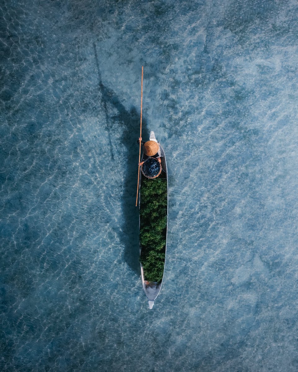 Bali from above 🚁