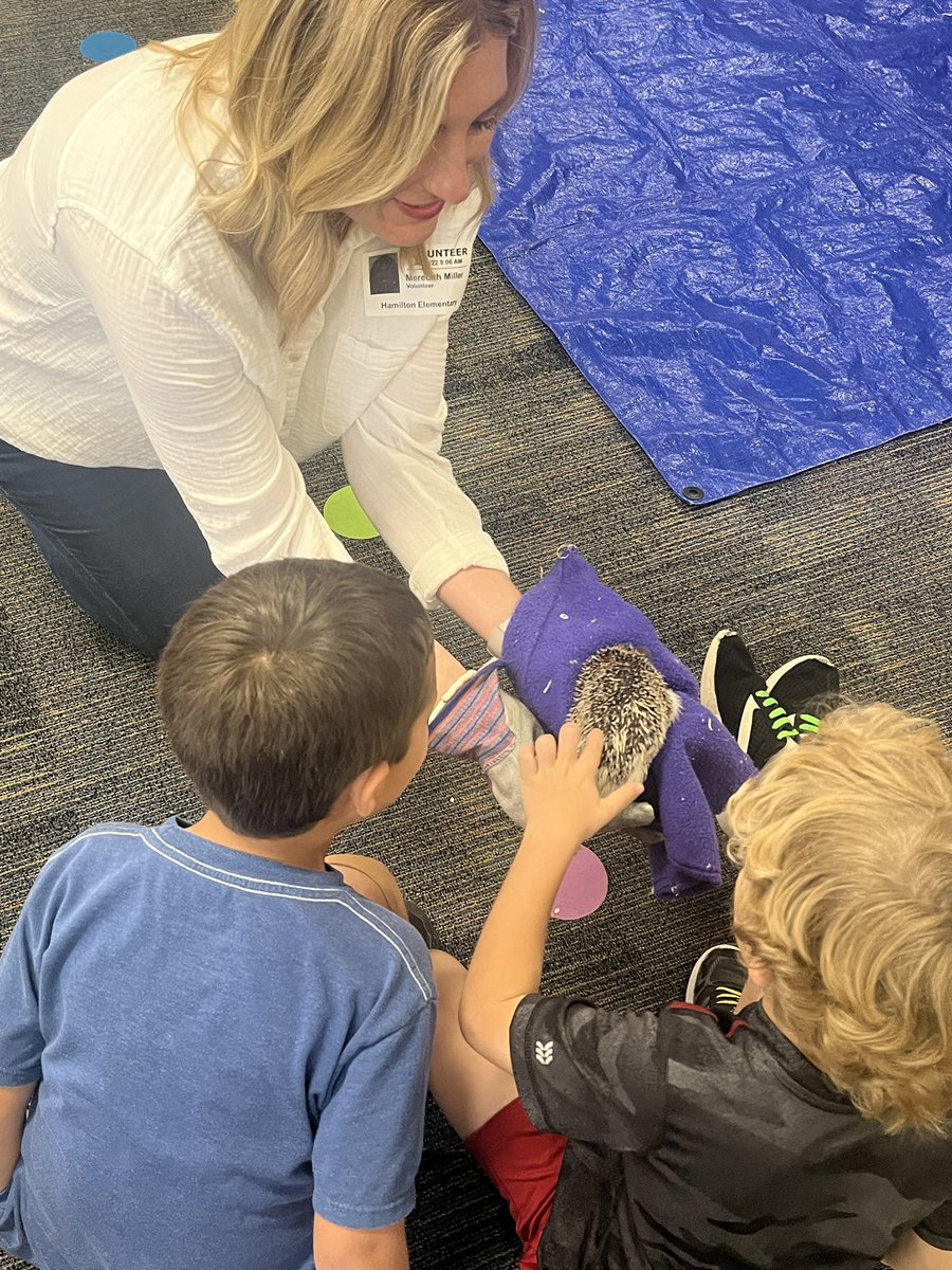 Hamilton Library tweet media