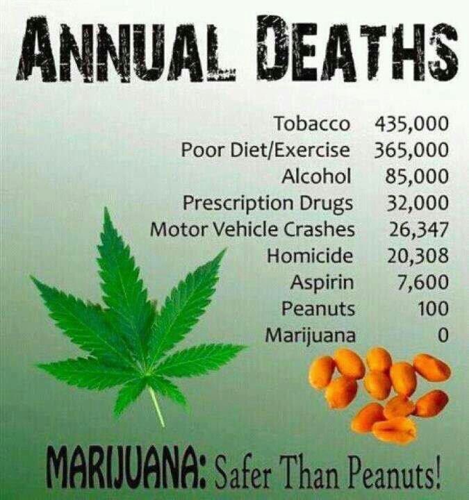 Radically Sunny (@radicallysunny) on Twitter photo 