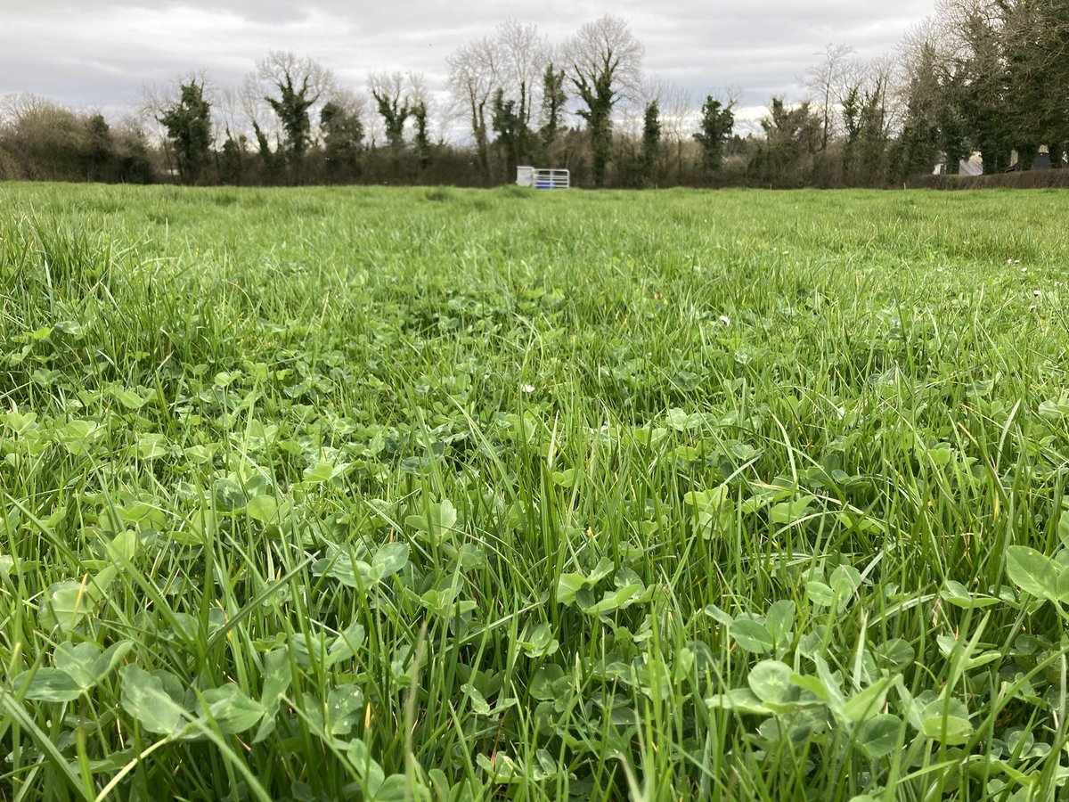 Catherine tweet media